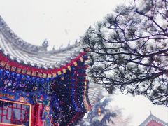 -西安市广仁寺