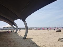 -碧海金沙