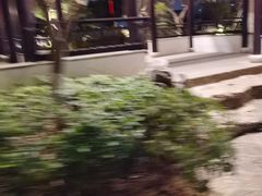 -金典银峰老鹅馆·昆山菜(亭林公园店)