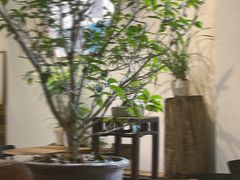 露天位-成川茶店·潮汕工夫浓茶(万象店)