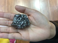 -志强陨石馆(双季花艺店)