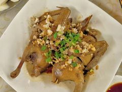 -百利鸽王(紫薇路店)