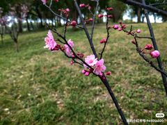 -广富林郊野公园