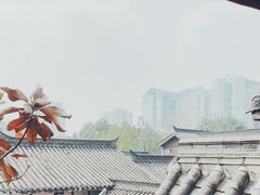 -小龙翻大江文化火锅(宽窄店)