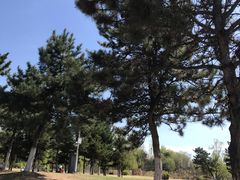 -莫子山公园