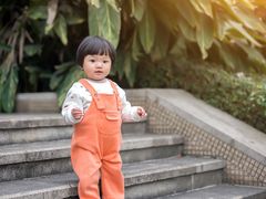 -府河摄影公园