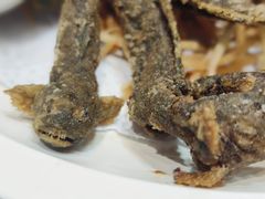 -星龙海鲜(望江东路店)