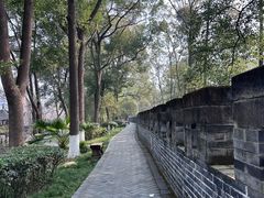 -老桂湖公园-杨升庵博物馆