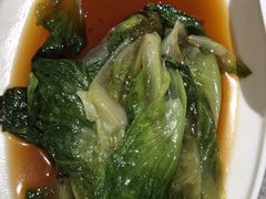 -老绍兴养和饭店(向阳不夜城店)