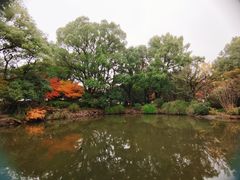 -汇龙潭