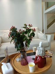 -JNK皮肤管理中心