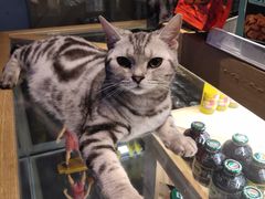 -约网咖(西塔店)