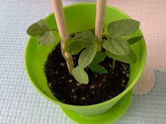 -斯坦星球AI编程·机器人科创·科学实验·信奥·思维·STEM·积木拼搭·竞赛考级(浦东联洋广场大拇指龙阳御桥中心)