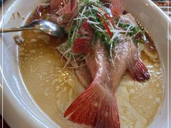 -绿雅居原生态农庄(小涌店)