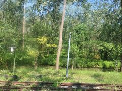 -合肥滨湖国家森林公园