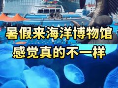 -海合安天津极地海洋公园