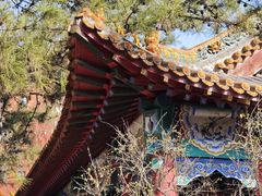 -碑林公园