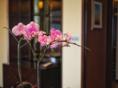-深圳星河丽思卡尔顿酒店
