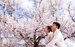 -巴黎新娘婚纱摄影