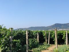 -大泽山风景名胜区