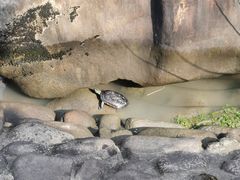 -苏州河梦清园环保主题公园