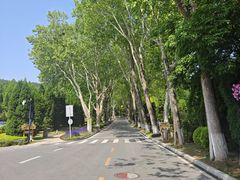 -棒棰岛宾馆景区