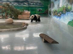 -柳州市动物园