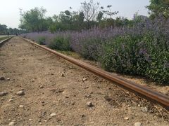 iphone_upload_pic-永定河休闲森林公园