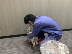 -半岛宠物医院24小时(西派城店)