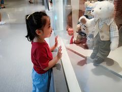 -济州岛泰迪熊博物馆