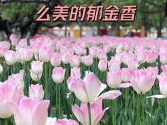 -朝阳公园