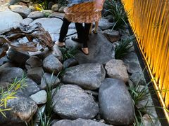 景观位-天水蔬食料理(树德之光店)