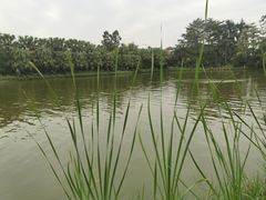 -迪茵湖田家舍生态农场