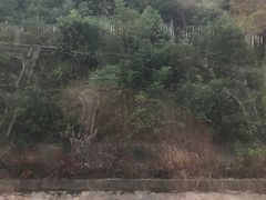 -韶山南站