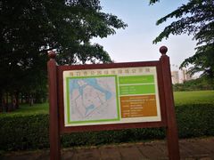 -万绿园