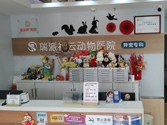 -瑞派·关忠动物医院猫科外科·异宠·24小时转诊中心(祥云店)