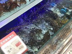 -盒马鲜生(枣园路店)