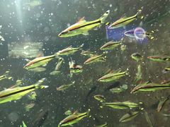 -成都浩海立方海洋公园