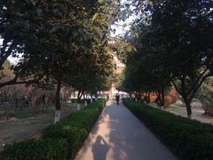 -西安青龙寺遗址景区