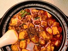 -陈麻婆豆腐总店