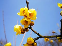 -白塘生态植物园