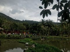 -呀诺达热带雨林