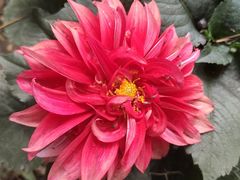 -苏州河梦清园环保主题公园