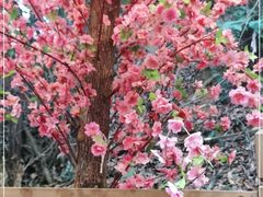 -鹅滋道(甘坑古镇店)