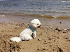 -东戴河风景区-止锚湾