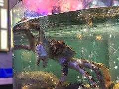 -蟹之国·精品蟹料理(极地店)