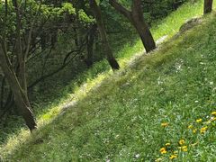 -西湖风景区-江洋畈生态公园