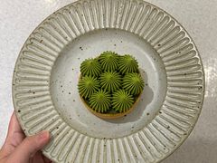 -猫里有甜