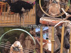 -海合安成都极地海洋公园