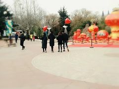 -富华游乐园
